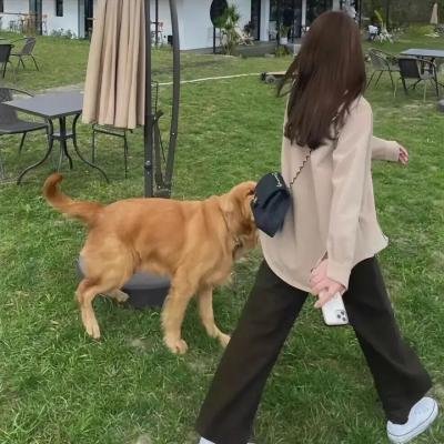 迷宫物语